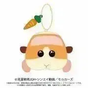 【7/4迄出品7/5発送】断捨離ぷいぷいの画像