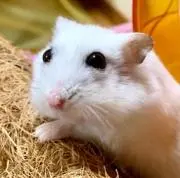 まーさん