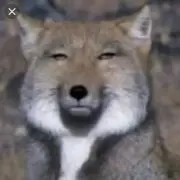 鼻丸（はなまる）