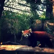 おちょこの画像