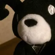 RINRIN