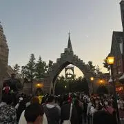 ビーバーの画像