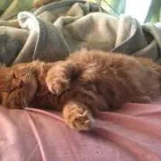 じゅんじゅん
