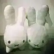 R.の画像