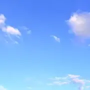 かめくまの画像