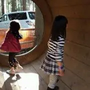 トト