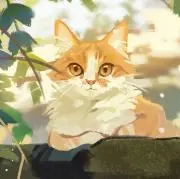 雲の画像