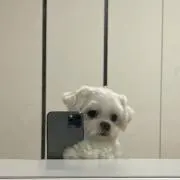 なの画像