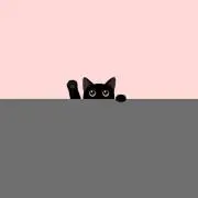 たまの画像