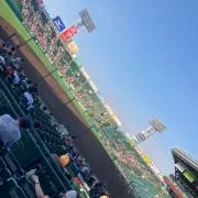 ポトフル
