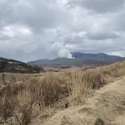 ほとけ兄の画像