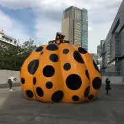 kikiの画像