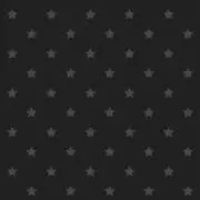 ニンの画像