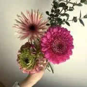 Ranの画像