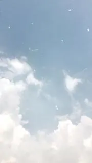 ymの画像