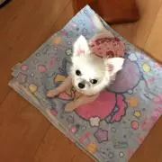 uyu