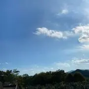 Kentaoの画像