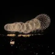 いかの画像