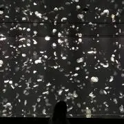 つでぃーの画像