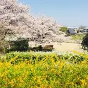☆kuu☆の画像