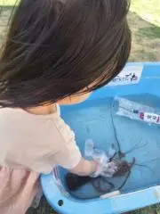 かぼちゃん