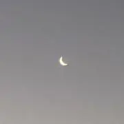 y -プロフ要確認-の画像