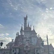 meiの画像