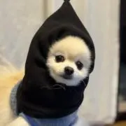 ymmt320の画像