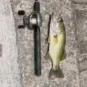 釣りすき