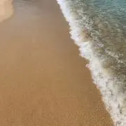 なみ平の画像