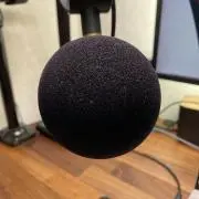 SONY】ネットワーク ウォークマン NW-E99(シルバー) - メルカリ