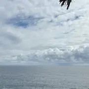 あの画像