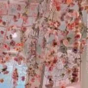 くま
