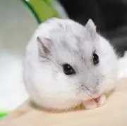 僕とうやです