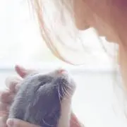 Akiの画像