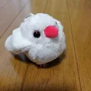 すずめっちの画像