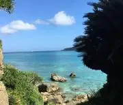 インディー