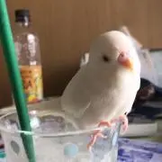 るる