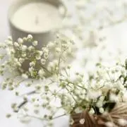 つきの画像