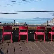 しまの画像