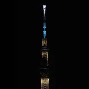 シフォンケーキの画像