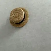 野良猫