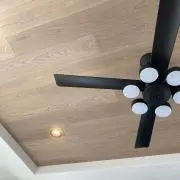 Eduの画像