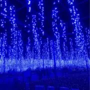 なーの画像