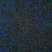 修宇哲実