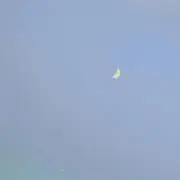 Mの画像