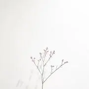 yyyの画像