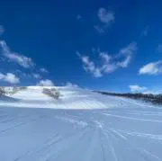 あゆの画像