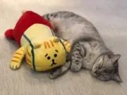 ルカの画像