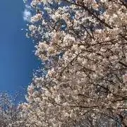 ★yunn★の画像